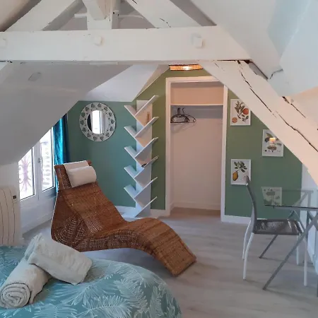 Charmant Duplex En Centre Διαμέρισμα Λαβάλ