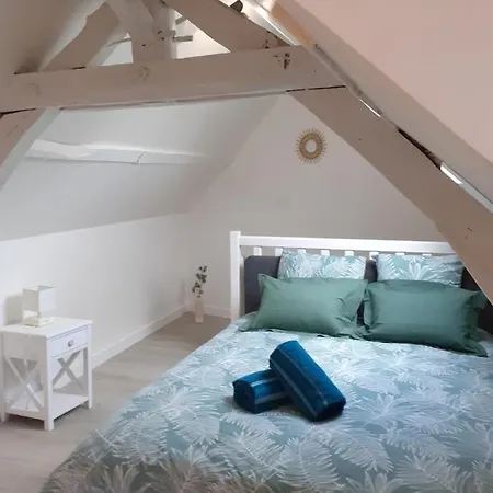 Διαμέρισμα Charmant Duplex En Centre Λαβάλ