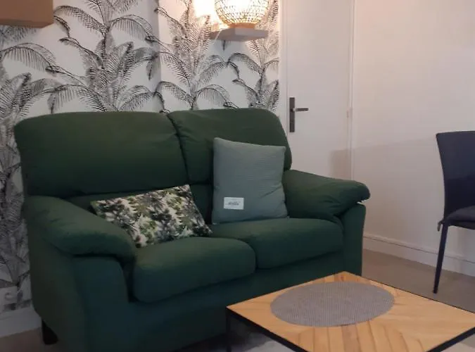 Charmant Duplex En Centre Laval (Mayenne)