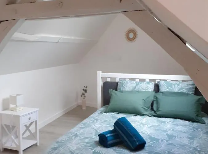 Apartmán Charmant Duplex En Centre Laval (Mayenne)